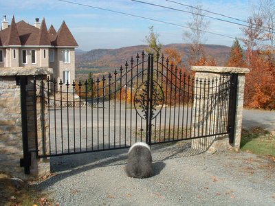 Wrought iron driveway gate with medallion and mountain view